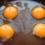 Prześliczne, świeże jaja - w żółtkach odbija się moje kuchenne okno - gotowe do rozmącenia