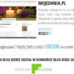 Jak zagłosować na MojeDania.pl w konkursie BlogRoku 2013?